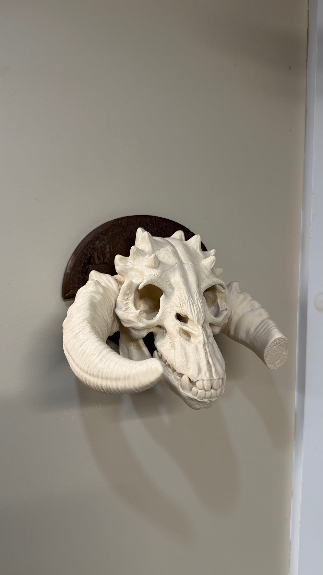 Tauntaun Skull Wall mount Plaque