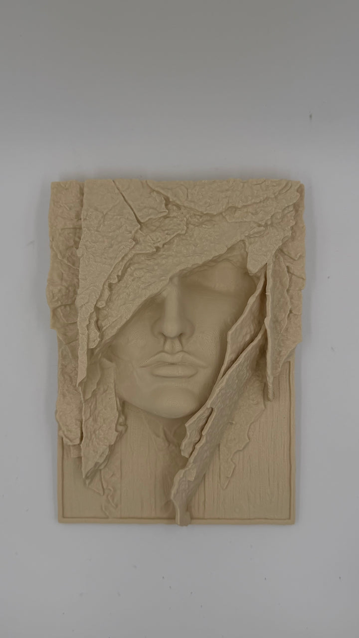 The Veiled Remnant Wall Plaque Artifact 3