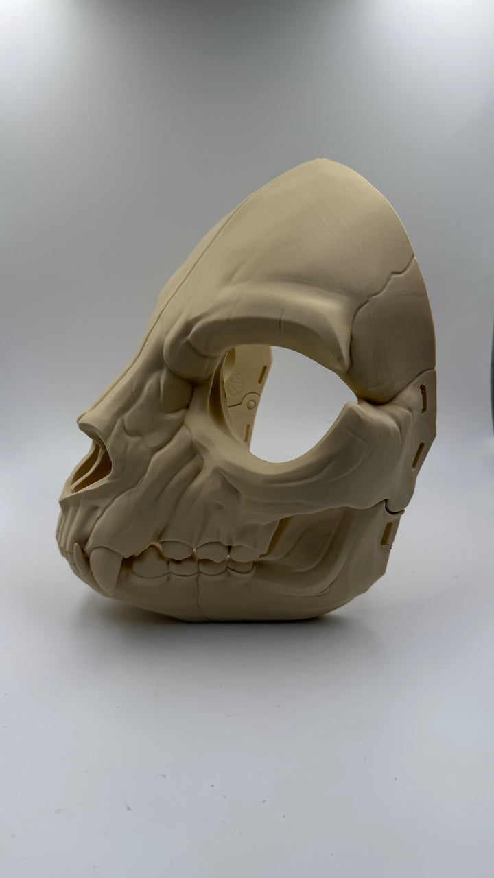 Feline Skull Mask with Moving Jaw | Realistic Animal Skull Cosplay Mask | Gothic Horror Cat Skull Helmet