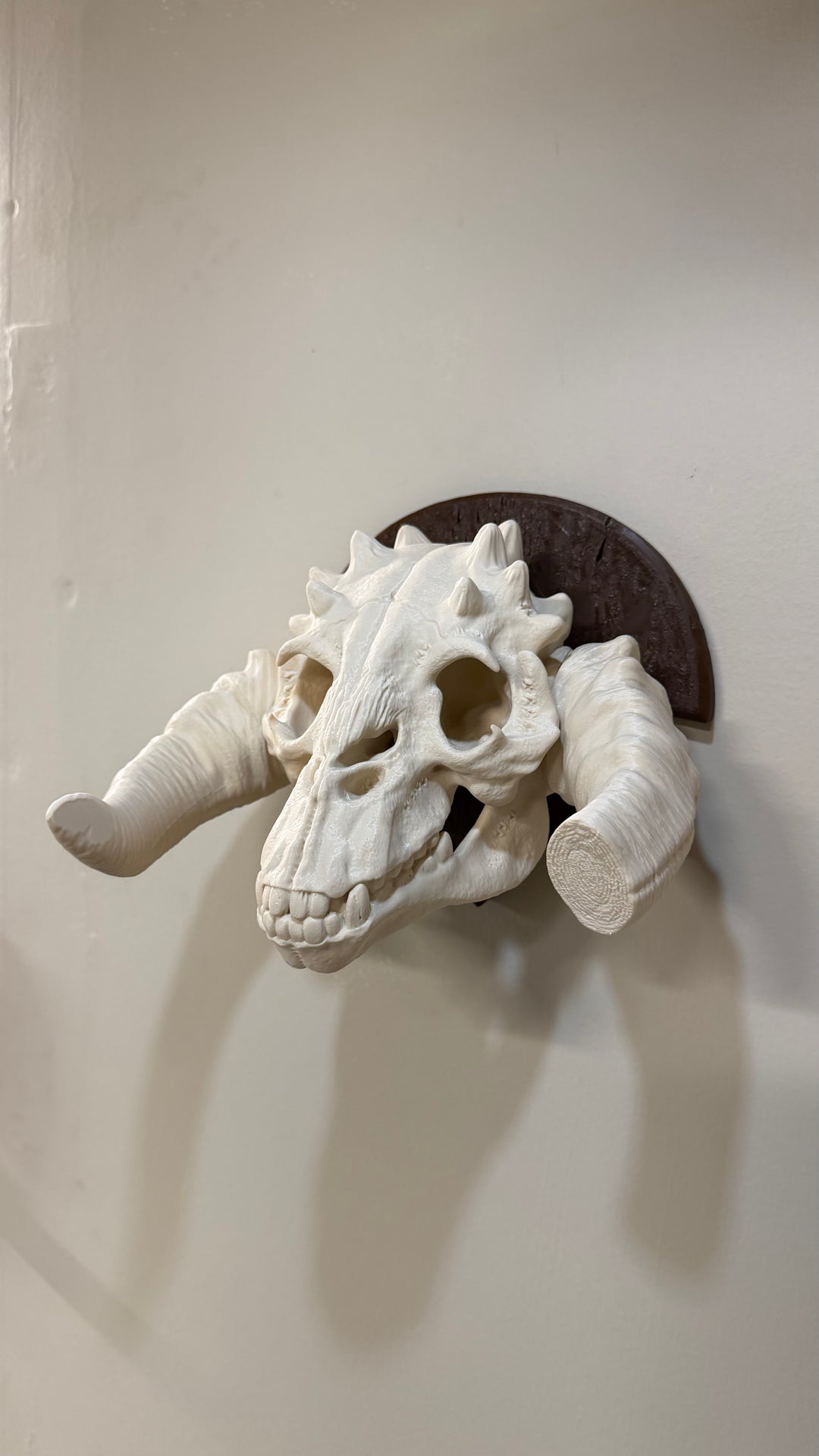Tauntaun Skull Wall mount Plaque