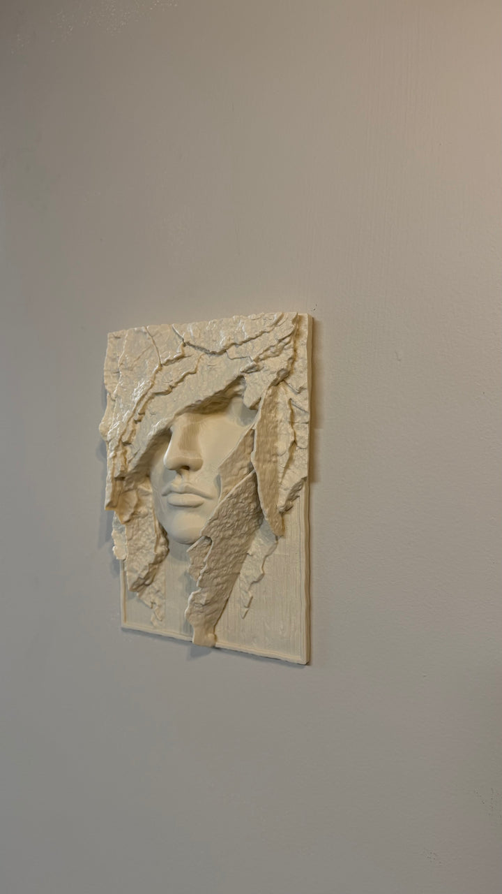 The Veiled Remnant Wall Plaque Artifact 3