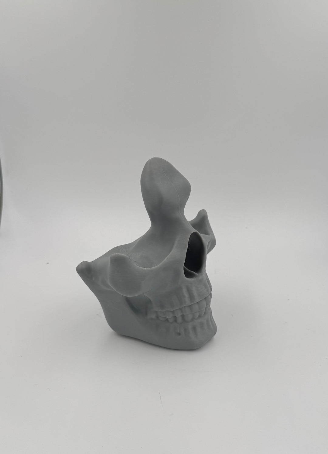 Glasses Skull Display Stand