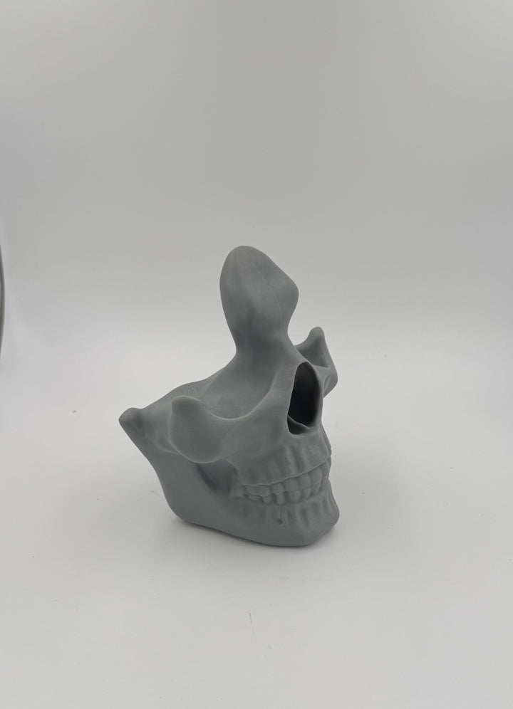 Glasses Skull Display Stand