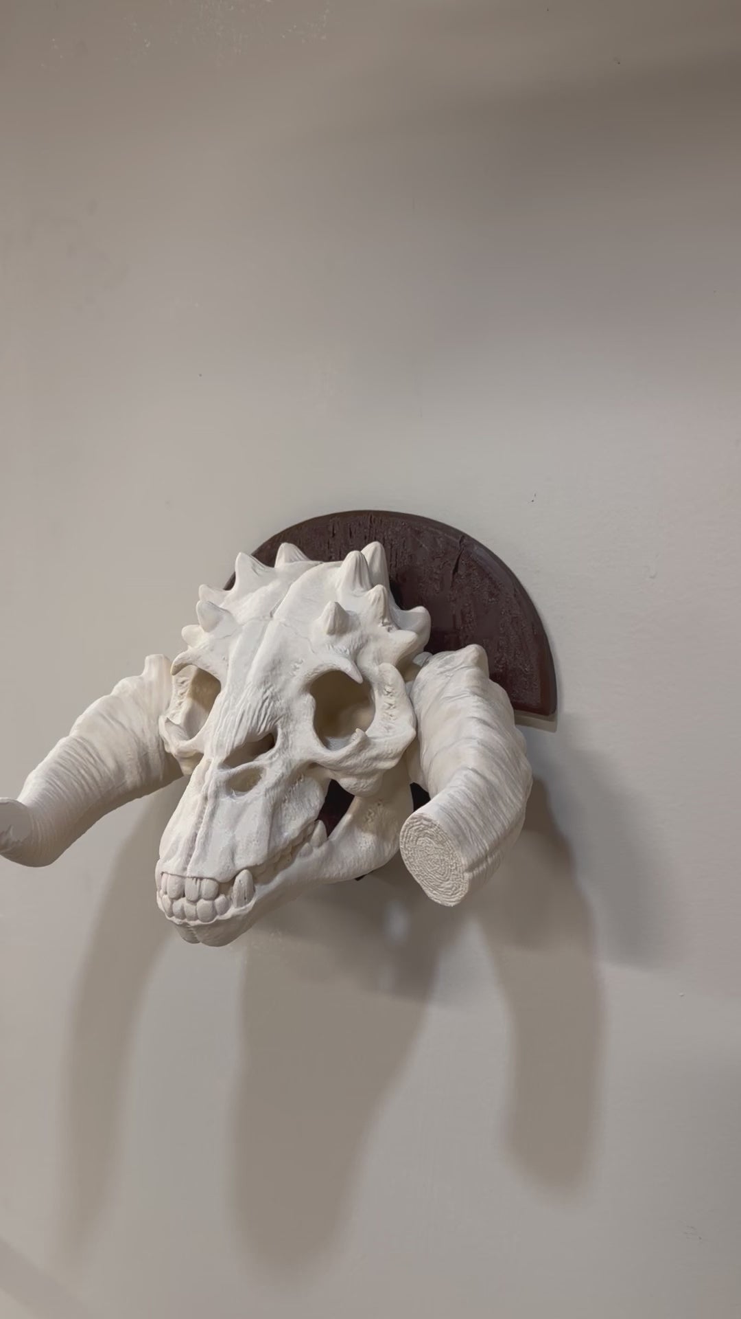 Tauntaun Skull Wall mount Plaque