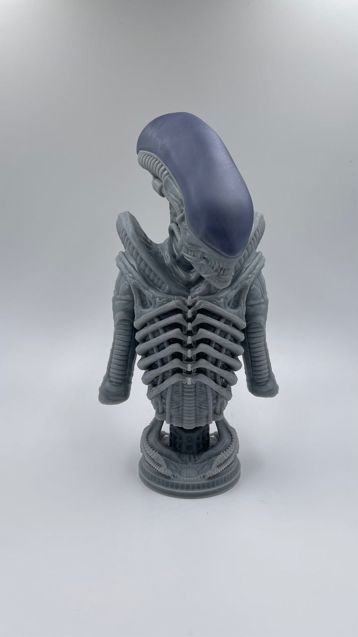 The physical form of an Alien / Xenomorph can vary widely depending on its life stage, hive, caste, age, and host. Its ability to incorporate genetic material from its host, coupled with the existence of numerous mutations and deviations which have originated naturally or artificially; makes the Xenomorph one of the most phenotypically diverse organisms in the galaxy.